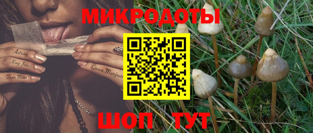 Псилоцибиновые грибы Psilocybine cubensis  Галлюциногенные грибы прущие грибы  Тосно  Вход с VPN 